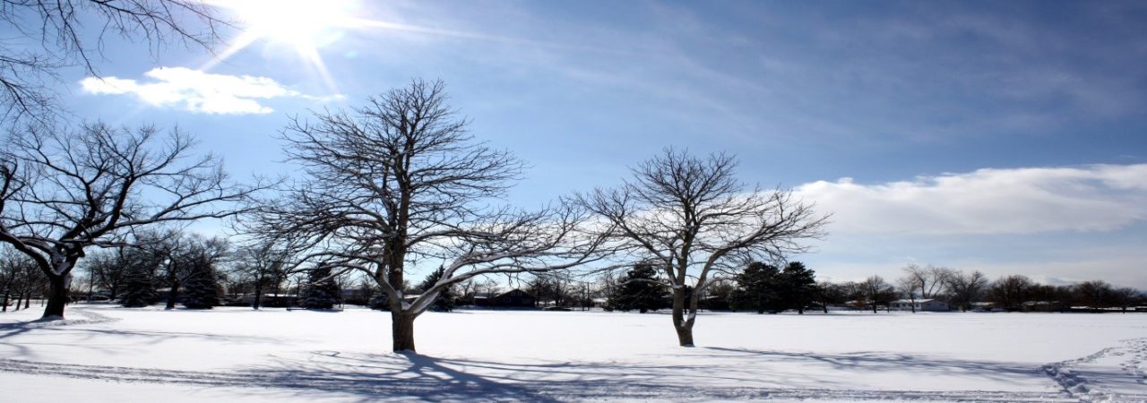 Winter